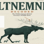 Viltnemnda wildlife responder and tracking dog searching for injured game in Norway forest